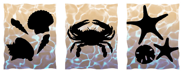 Silhouette Sea Shells Design